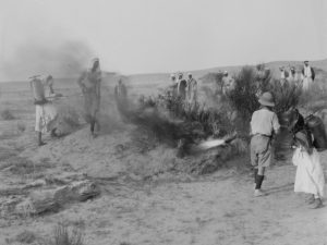 Palestina tijdens de wereldoorlog